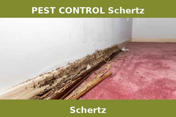 PEST CONTROL Schertz